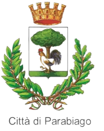 Polizia Locale recupera refurtiva da 715,00 euro