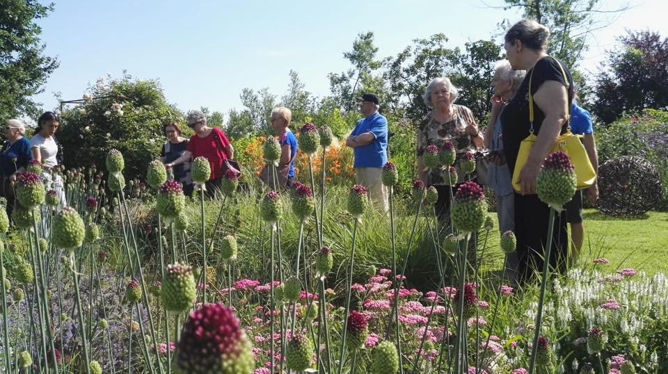 “Green therapy: a che punto siamo in Italia e a Reggio?”, sabato 14 marzo la conferenza con tanti esperti nella sala civica di via Morandi 9