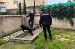 CONTROLLI DEI CARABINIERI TRA ANZIO E NETTUNO. DUE ARRESTI E DUE DENUNCE. TRA LORO UNA MINORE TROVATA IN POSSESSO DI UN COLTELLO A SCUOLA
