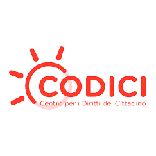 Codici: rimborso dovuto quando il check-in online di Ryanair non funziona