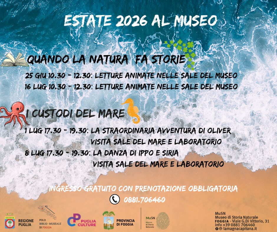 Attività estive per tutta la famiglia al Museo di Storia Naturale di Foggia