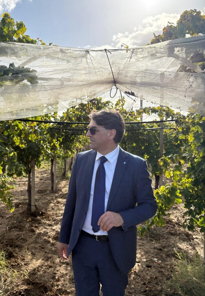 Agricoltura, un bando per le strade rurali