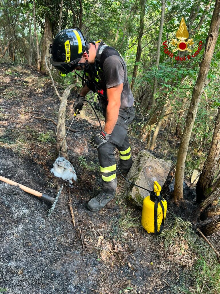 VVF Incendio bosco