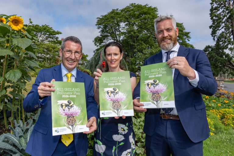 DAERA News Release – AMBITIOUS NEW ALL-IRELAND POLLINATOR PLAN AIMS TO CREATE ‘POCKETS FOR NATURE EVERY 200 METRES