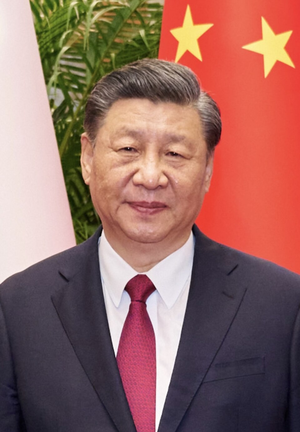 Cina, Xi Jinping rafforza il controllo sul Partito: 33 espulsioni e un ...